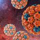 ویروس HPV و راهکار هایی برای تشخیص آن