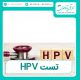 تست HPV (ویروس پاپیلومای انسانی)